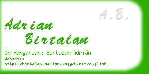 adrian birtalan business card